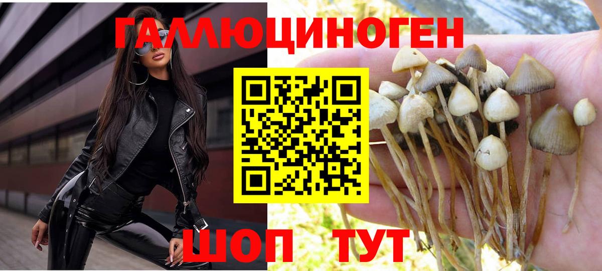 Псилоцибиновые грибы прущие грибы Горячий Ключ